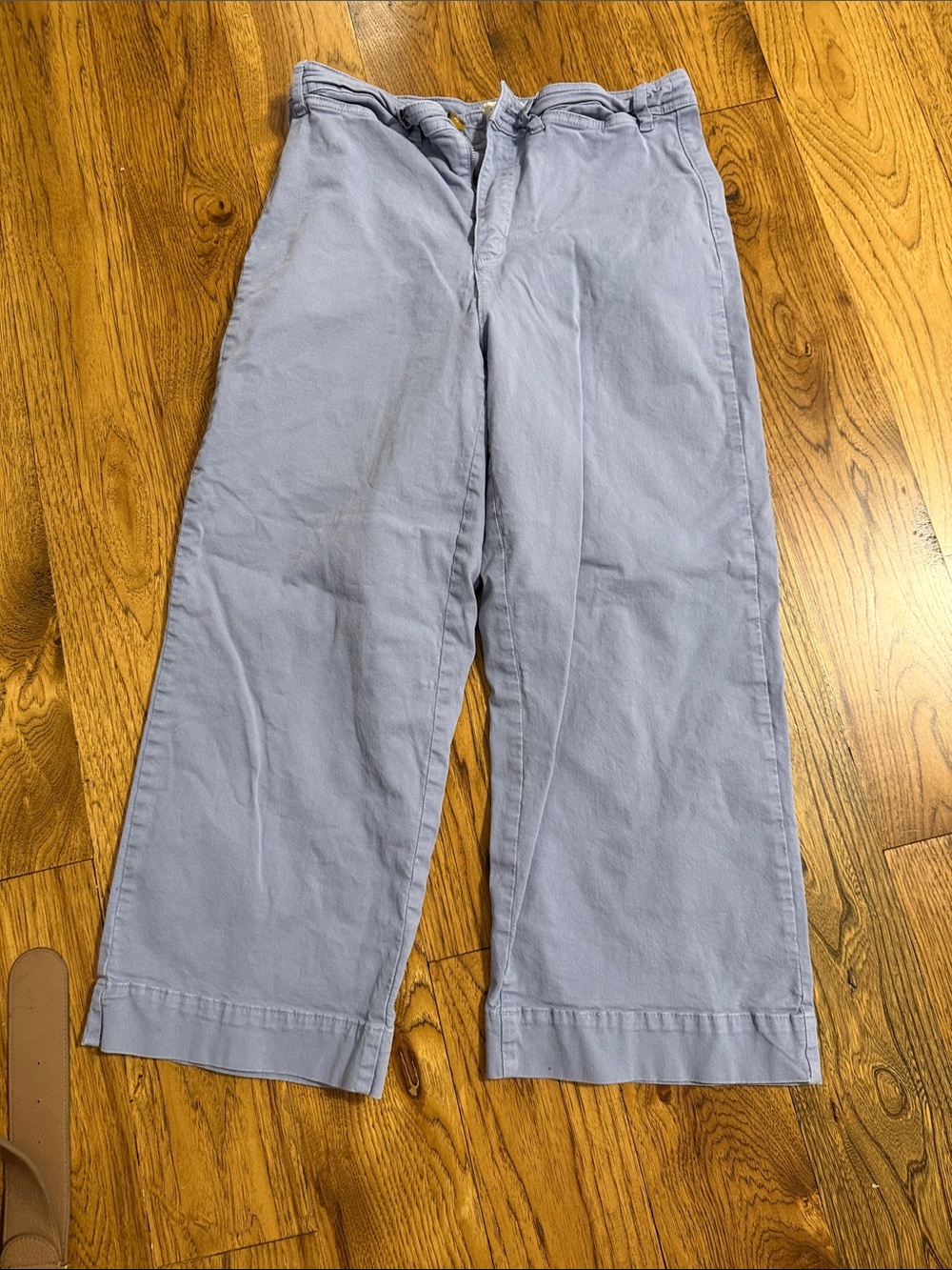 Marine Layer Men's Light Blue Chino Pants